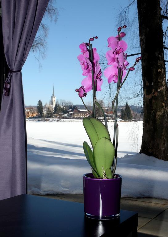 Apartmány Bella Vista Lipno Frydava Esterno foto