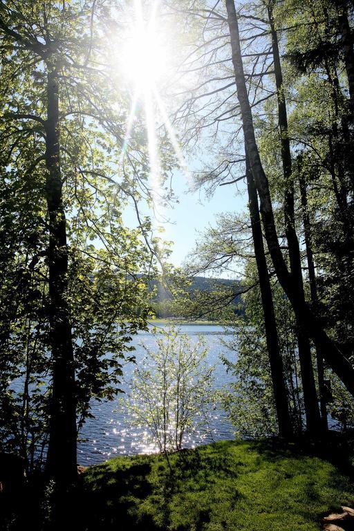 Apartmány Bella Vista Lipno Frydava Esterno foto