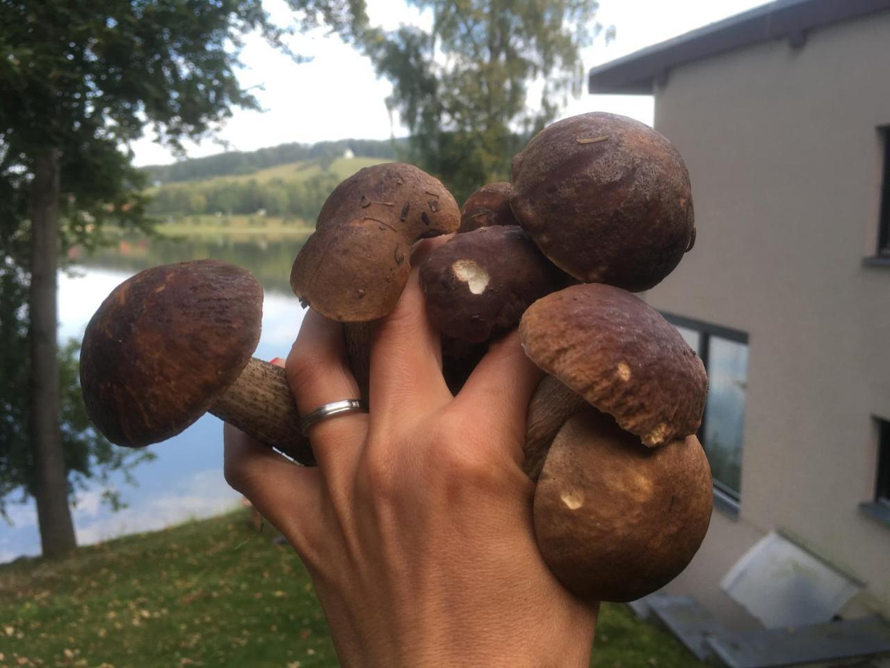 Apartmány Bella Vista Lipno Frydava Esterno foto